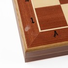 УЦЕНКА Шахматы «Бизант», 58.5×58.5 см, король h=14 см - Фото 10