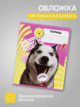 Набор тетрадей 12 листов в клетку Calligrata «Пёсики», обложка мелованная бумага, МИКС, 10 шт.