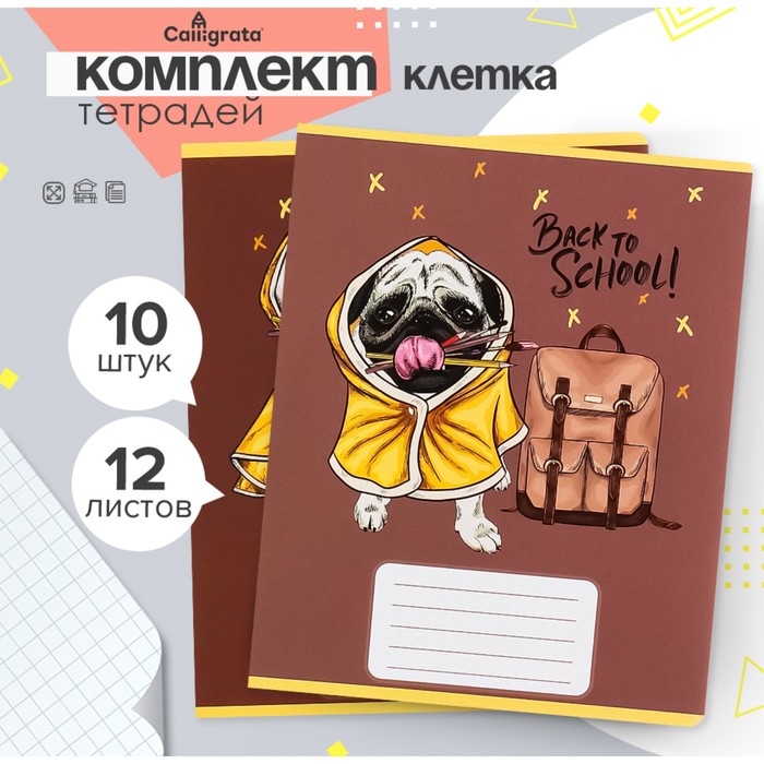 

Комплект тетрадей из 10 штук, 12 листов в клетку Calligrata "Снова школу", обложка мелованная бумага, ВД-лак, блок офсет, 5 видов по 2 штуки