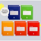 Комплект тетрадей из 10 штук, 12 листов в клетку Calligrata "Однотонная Классика Intensive", обложка мелованная бумага, ВД-лак, блок офсет, 5 видов по 2 штуки 9799328 - фото 16926511