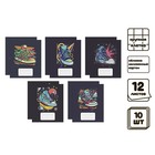 Комплект тетрадей из 10 штук, 12 листов в крупную клетку "Кеды", обложка мелованный картон, ВД-лак, блок №2 (серые листы) - фото 919703