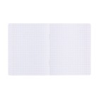 Комплект тетрадей из 10 штук, 12 листов в крупную клетку Calligrata "Милашки с бантиком", обложка мелованная бумага, ВД-лак, блок офсет, 5 видов по 2 штуки - фото 24399353