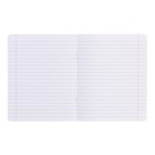 Комплект тетрадей из 10 штук, 12 листов в линию Calligrata "Животные в цветах", обложка мелованный картон, блок офсет, 5 видов по 2 штуки - фото 23711831