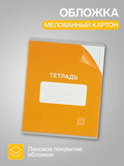 Набор тетрадей 18 листов в клетку Calligrata «Однотонная Классика», обложка мелованный картон, серые листы, 10 шт.