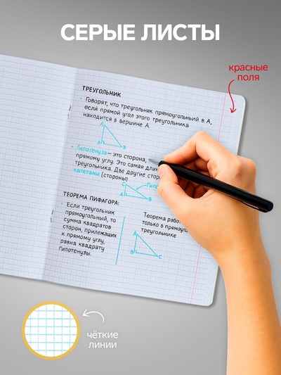 Набор тетрадей 18 листов в клетку Calligrata «Однотонная Классика», обложка мелованный картон, серые листы, 10 шт.