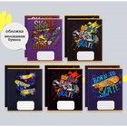 Комплект тетрадей из 10 штук, 12 листов в клетку Calligrata "SkateBoard", обложка мелованная бумага, ВД-лак, блок офсет, 5 видов по 2 штуки - фото 23711846