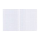 Комплект тетрадей из 10 штук, 12 листов в клетку Calligrata "SkateBoard", обложка мелованная бумага, ВД-лак, блок офсет, 5 видов по 2 штуки - фото 23711847