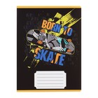 Комплект тетрадей из 10 штук, 12 листов в клетку Calligrata "SkateBoard", обложка мелованная бумага, ВД-лак, блок офсет, 5 видов по 2 штуки - фото 23711849
