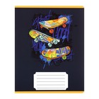 Комплект тетрадей из 10 штук, 12 листов в клетку Calligrata "SkateBoard", обложка мелованная бумага, ВД-лак, блок офсет, 5 видов по 2 штуки - фото 23711850