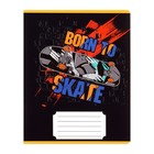 Комплект тетрадей из 10 штук, 12 листов в клетку Calligrata "SkateBoard", обложка мелованная бумага, ВД-лак, блок офсет, 5 видов по 2 штуки - фото 23711851