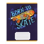 Комплект тетрадей из 10 штук, 12 листов в клетку Calligrata "SkateBoard", обложка мелованная бумага, ВД-лак, блок офсет, 5 видов по 2 штуки - фото 23723022