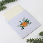 Ароматизатор для дома «Тепла и уюта», аромат апельсин, 11×11 см - Фото 6