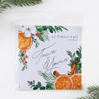 Ароматизатор для дома «Тепла и уюта», аромат апельсин, 11×11 см - Фото 2