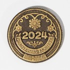 Монета в мешочке «С Новым Счастьем», d = 2,5 см - фото 9781006