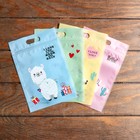 Пакет подарочный, с zip-lock застежкой, 15×22.5 см, МИКС - Фото 1