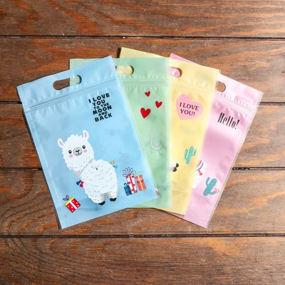 Пакет подарочный, с zip-lock застежкой, 15×22.5 см, МИКС