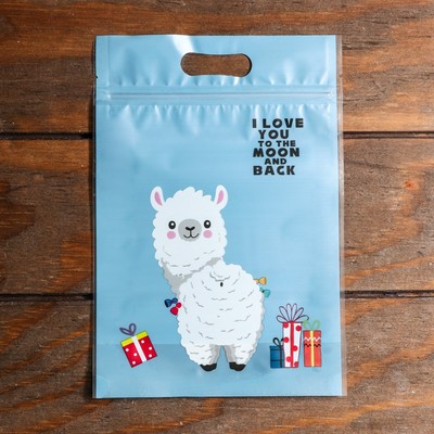 Пакет подарочный, с zip-lock застежкой, 15×22.5 см, МИКС