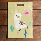 Пакет подарочный, с zip-lock застежкой, 15×22.5 см, МИКС - Фото 4