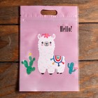 Пакет подарочный, с zip-lock застежкой, 15×22.5 см, МИКС - Фото 5