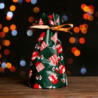 Пакет  полиэтиленовый подарочный "Новогодние подарки", с завязками, 15*23см - фото 10699834