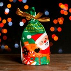 Пакет полиэтиленовый подарочный "С Рождеством!", с завязками, 15*23см - фото 10047813