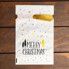 Пакет полиэтиленовый подарочный новогодний, с завязками «Ёлочки», 15×23 см - фото 118573637