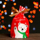 Пакет полиэтиленовый подарочный "Белый медведь", с завязками, 14,5 *22,5 см - фото 10699852