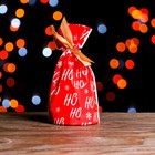 Пакет полиэтиленовый подарочный "Новогодний визит", с завязками, 15*23см - фото 319661289