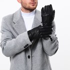 Перчатки мужские, безразмерные, с утеплителем, цвет чёрный - фото 25548399