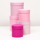 Набор шляпных подарочных коробок 5 в 1« Феерия», розовый, 23×23 - 14×14 см - Фото 2