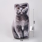 Антистресс игрушка, кот «Шотландец» - Фото 2