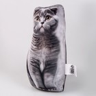 Антистресс игрушка, кот «Шотландец» - Фото 3