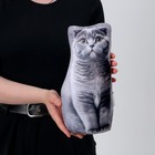 Антистресс игрушка, кот «Шотландец» - Фото 6