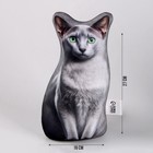 Антистресс игрушка, кот «Донская» - Фото 2