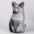 Антистресс игрушка, кот «Донская» - Фото 4