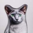 Антистресс игрушка, кот «Донская» - Фото 5