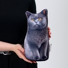 Антистресс игрушка "Британец" - фото 23378207