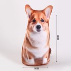 Антистресс игрушка, собака «Корги» - Фото 2