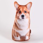 Антистресс игрушка, собака «Корги» - Фото 3