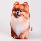 Антистресс игрушка, собака «Пушистик шпиц» - Фото 4