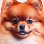 Антистресс игрушка, собака «Пушистик шпиц» - Фото 5