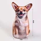 Антистресс игрушка, собака «Чихуа» - Фото 2