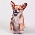 Антистресс игрушка, собака «Чихуа» - Фото 3