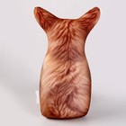 Антистресс игрушка, собака «Чихуа» - Фото 5