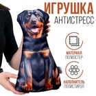 Антистресс игрушка «Собака чёрная» - Фото 1