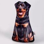 Антистресс игрушка «Собака чёрная» - Фото 4