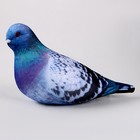 Антистресс игрушка «Голубь» - Фото 2