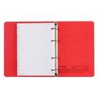 Тетрадь на кольцах А5, 100 листов в клетку MESHU Amazing cats, обложка мелованный картон, матовая ламинация, выборочный УФ-лак - фото 22503213