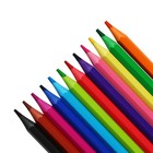 Карандаши цветные пластиковые 12 цветов Гамма "Мультики", заточенные, ПВХ, европодвес 251220211 - фото 7307833