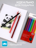 Карандаши цветные пластиковые 12 цветов «Гамма. Мультики», заточенные, ПВХ, европодвес, (251220211) - Фото 2